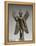 Statuette du Démon Pazuzu-null-Framed Premier Image Canvas