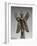 Statuette du Démon Pazuzu-null-Framed Giclee Print