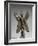 Statuette du Démon Pazuzu-null-Framed Giclee Print