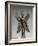 Statuette du Démon Pazuzu-null-Framed Giclee Print