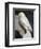 Statuette of an owl from the Acropolis. Artist: Unknown-Unknown-Framed Giclee Print