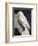 Statuette of an owl from the Acropolis. Artist: Unknown-Unknown-Framed Giclee Print