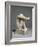 Statuette of Despair, c.1890-Auguste Rodin-Framed Photographic Print