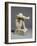 Statuette of Despair, c.1890-Auguste Rodin-Framed Photographic Print