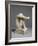 Statuette of Despair, c.1890-Auguste Rodin-Framed Photographic Print