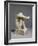 Statuette of Despair, c.1890-Auguste Rodin-Framed Photographic Print