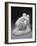 Statuette of the Metamorphosis of Ovid, 19th Century-Auguste Rodin-Framed Photographic Print