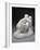 Statuette of the Metamorphosis of Ovid, 19th Century-Auguste Rodin-Framed Photographic Print