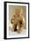 Statuette Originating from El Salvador-null-Framed Giclee Print