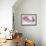 Staunchy Bouquet-Jason Jarava-Framed Giclee Print displayed on a wall