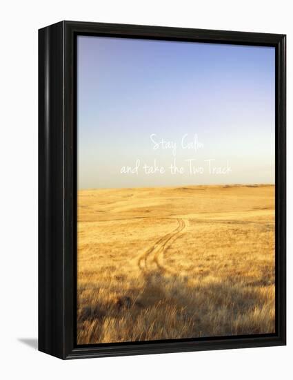 Stay Calm and Take the Two Track-Amanda Lee Smith-Framed Premier Image Canvas