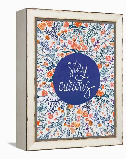 Stay Curious in Navy and Red-Coquillette Cat-Framed Stretched Canvas