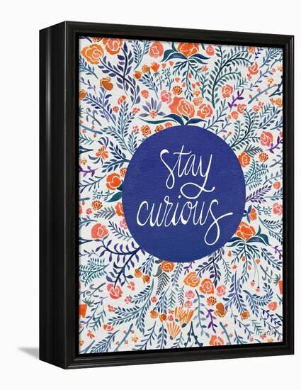 Stay Curious in Navy and Red-Coquillette Cat-Framed Stretched Canvas