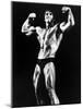 Stay Hungry, Arnold Schwarzenegger, 1976-null-Mounted Photo