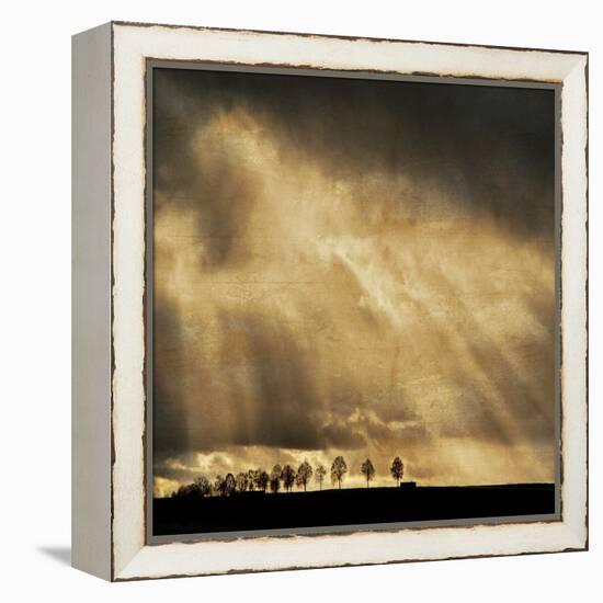 Stay the Course-Philippe Sainte-Laudy-Framed Premier Image Canvas