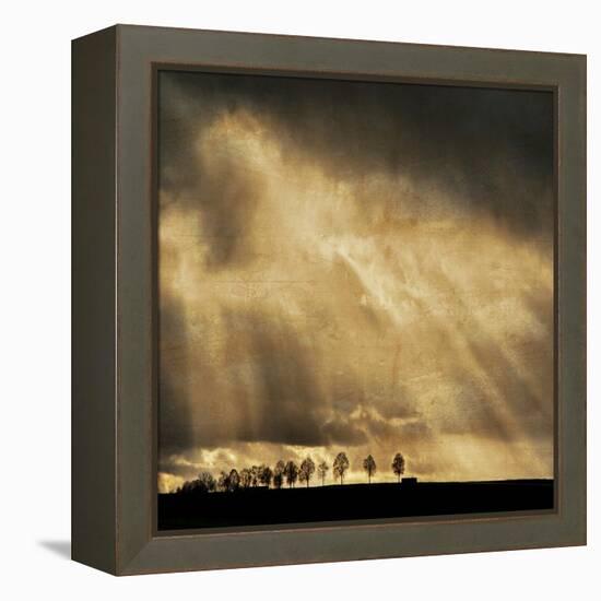 Stay the Course-Philippe Sainte-Laudy-Framed Premier Image Canvas