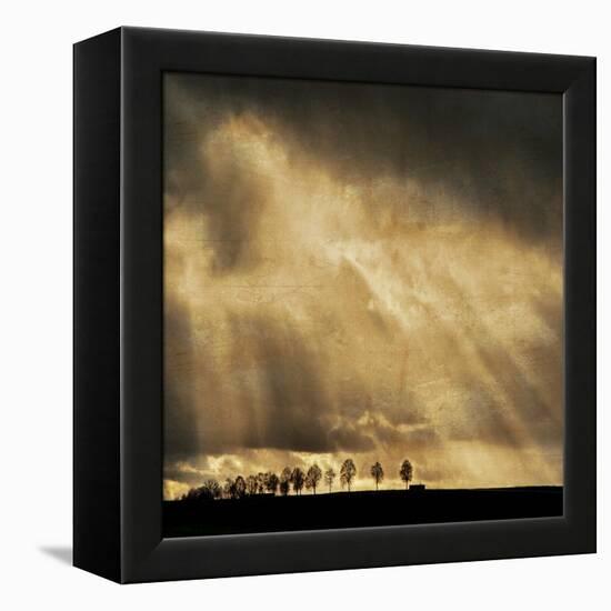 Stay the Course-Philippe Sainte-Laudy-Framed Premier Image Canvas