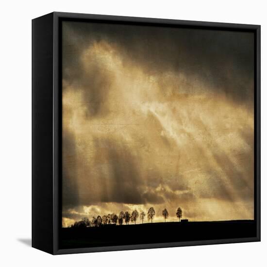 Stay the Course-Philippe Sainte-Laudy-Framed Premier Image Canvas