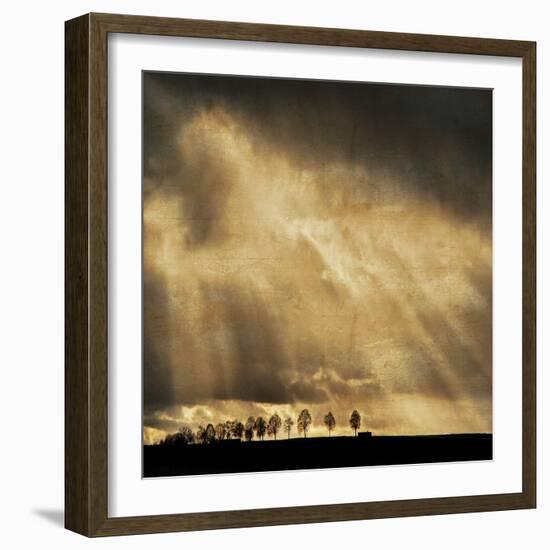 Stay the Course-Philippe Sainte-Laudy-Framed Photographic Print