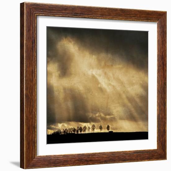 Stay the Course-Philippe Sainte-Laudy-Framed Photographic Print