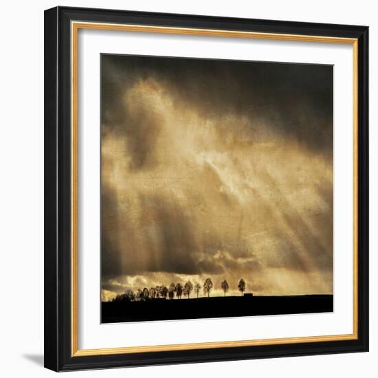 Stay the Course-Philippe Sainte-Laudy-Framed Photographic Print