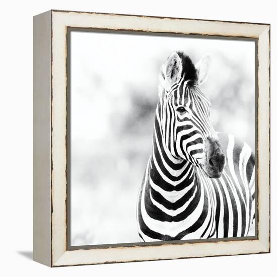 Steady-Wink Gaines-Framed Stretched Canvas