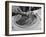 Steak-Bernard Hoffman-Framed Photographic Print