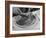 Steak-Bernard Hoffman-Framed Photographic Print