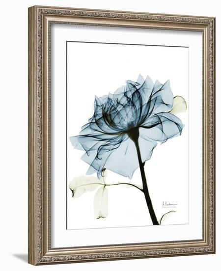 Steal Rose 2-Albert Koetsier-Framed Art Print