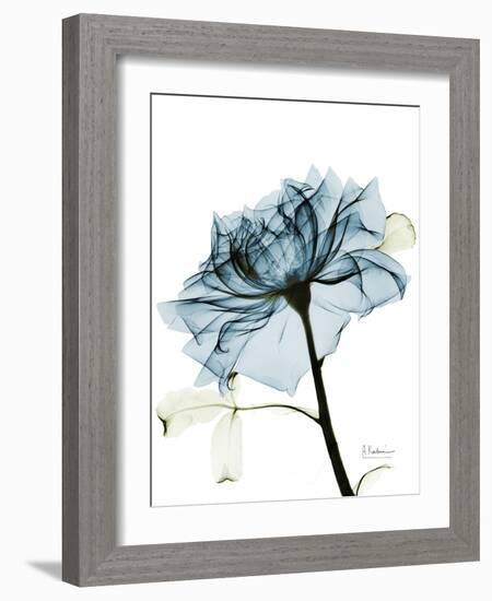 Steal Rose 2-Albert Koetsier-Framed Art Print