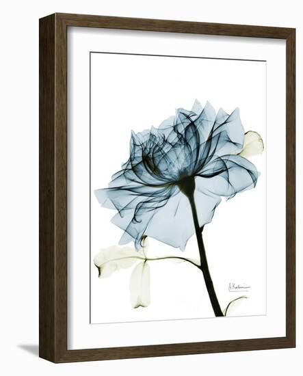 Steal Rose 2-Albert Koetsier-Framed Art Print