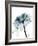 Steal Rose 2-Albert Koetsier-Framed Art Print