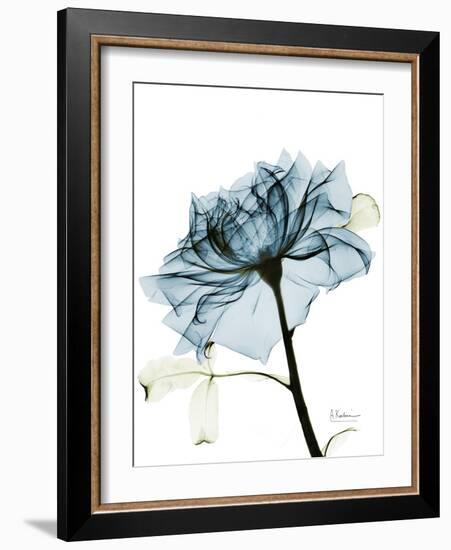 Steal Rose 2-Albert Koetsier-Framed Art Print