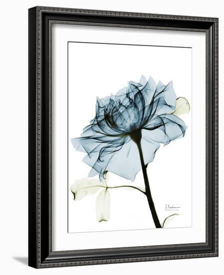 Steal Rose 2-Albert Koetsier-Framed Art Print