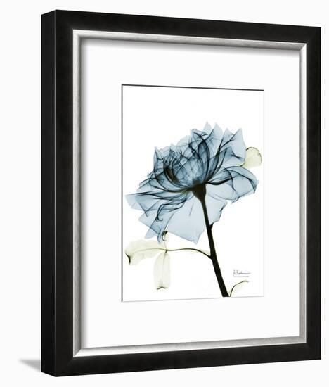 Steal Rose 2-Albert Koetsier-Framed Premium Giclee Print