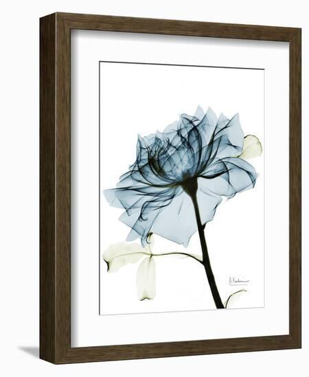 Steal Rose 2-Albert Koetsier-Framed Art Print