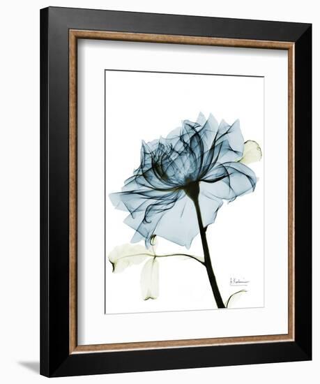 Steal Rose 2-Albert Koetsier-Framed Art Print