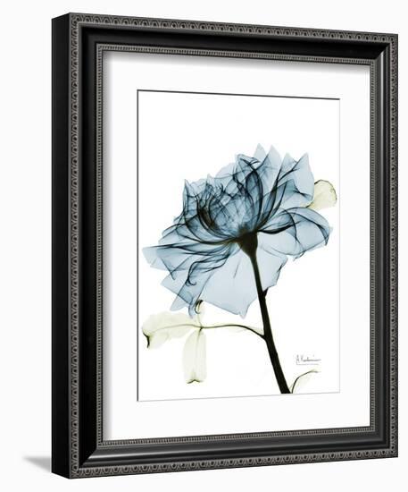 Steal Rose 2-Albert Koetsier-Framed Art Print