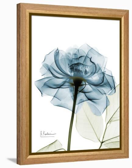 Steal Rose-Albert Koetsier-Framed Stretched Canvas