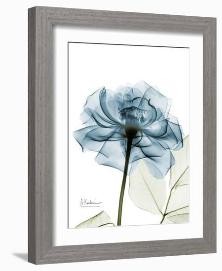 Steal Rose-Albert Koetsier-Framed Art Print