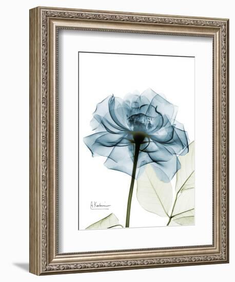 Steal Rose-Albert Koetsier-Framed Premium Giclee Print