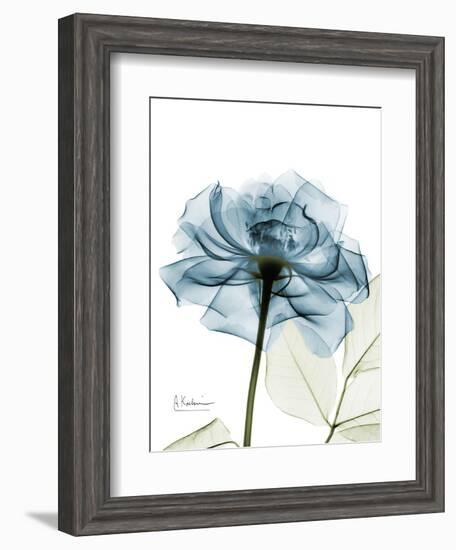 Steal Rose-Albert Koetsier-Framed Premium Giclee Print