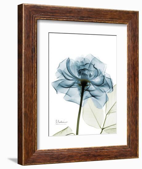 Steal Rose-Albert Koetsier-Framed Premium Giclee Print