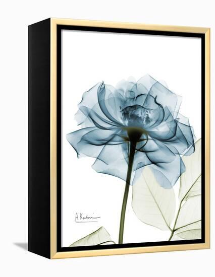 Steal Rose-Albert Koetsier-Framed Stretched Canvas