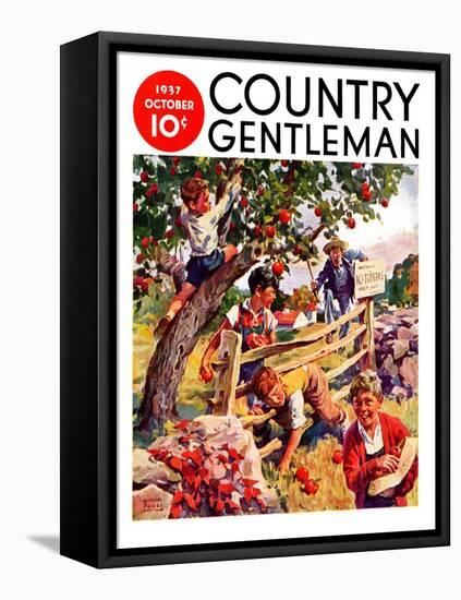 "Stealing Apples," Country Gentleman Cover, October 1, 1937-William Meade Prince-Framed Premier Image Canvas