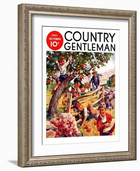 "Stealing Apples," Country Gentleman Cover, October 1, 1937-William Meade Prince-Framed Giclee Print