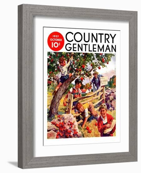 "Stealing Apples," Country Gentleman Cover, October 1, 1937-William Meade Prince-Framed Giclee Print