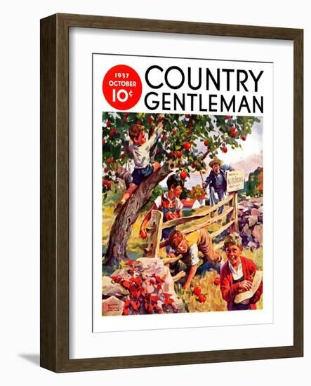 "Stealing Apples," Country Gentleman Cover, October 1, 1937-William Meade Prince-Framed Giclee Print