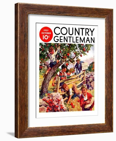 "Stealing Apples," Country Gentleman Cover, October 1, 1937-William Meade Prince-Framed Giclee Print