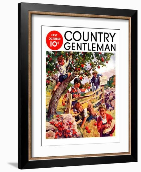 "Stealing Apples," Country Gentleman Cover, October 1, 1937-William Meade Prince-Framed Giclee Print